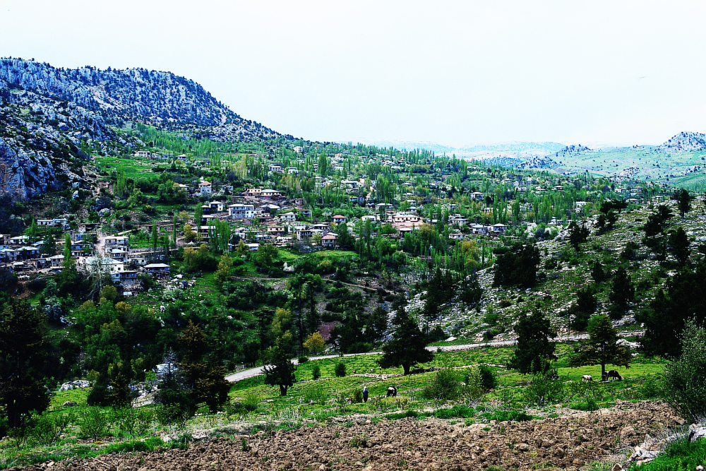 Doğa Yürüyüşü (trekki̇ng) - Altioluk Eski̇yayla