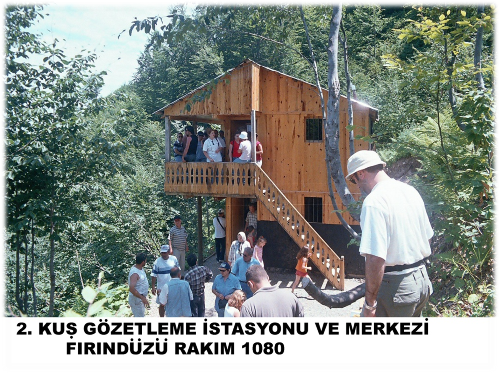 Doğa Yürüyüşü (trekki̇ng) - Aytepe Deği̇rmen Düzü