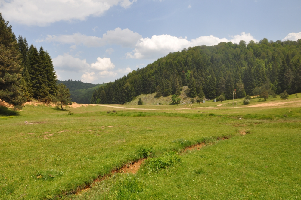 İnönü Yaylasi-kocaeli̇