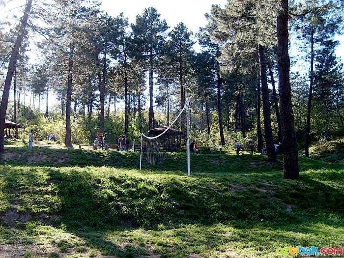 Kocaeli Kent Ormanı